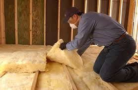 Best Eco-Friendly or Green Insulation Solutions  in Mount Plymouth, FL