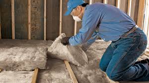 Best Insulation for New Construction  in Mount Plymouth, FL