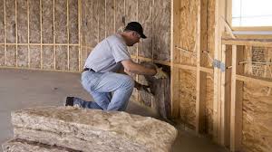 Best Eco-Friendly or Green Insulation Solutions  in Mount Plymouth, FL