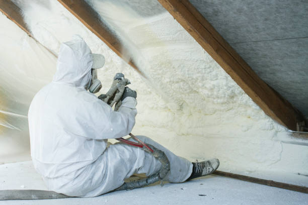 Best Batt and Roll Insulation  in Mount Plymouth, FL