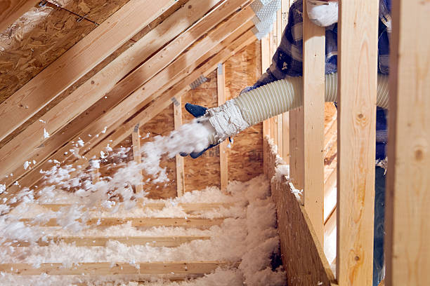 Eco-Friendly or Green Insulation Solutions in Mount Plymouth, FL